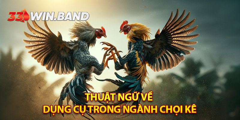 Thuật ngữ về dụng cụ trong ngành chọi kê