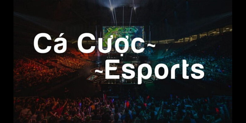 Giới thiệu kinh nghiệm chơi Esport.