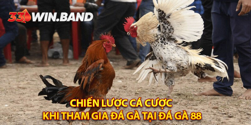 Chiến Lược Cá Cược Hiệu Quả Khi Tham Gia Đá Gà Tại Đá Gà 88