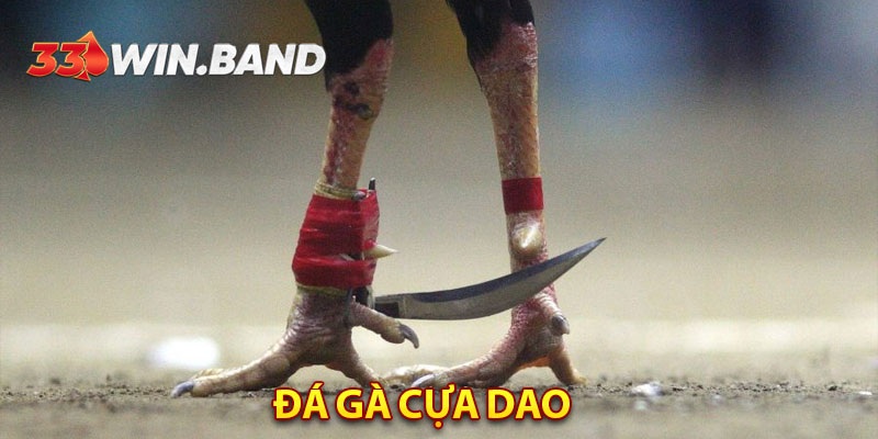 Đá Gà Cựa Dao